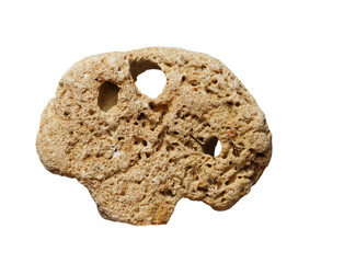 white calcareous stone isolated on white background