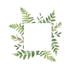 Watercolor illustration. Botanical square label with branches of eucalyptus and ferns. Greenery collection. Perfect for wedding invitations, greeting cards, blogs, posters and more