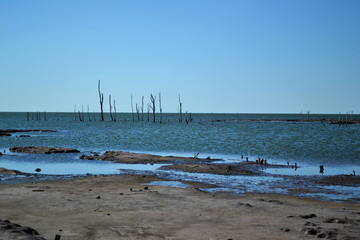 Mar Chiquita, Córdoba, Argentina 