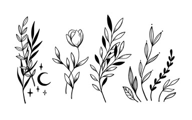 Hand sketched vector vintage elements ( laurels, leaves, flowers, swirls, moon). Wild and free. Perfect for invitations, greeting cards, quotes, blogs, posters.