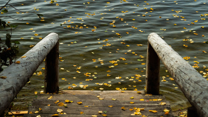 wooden descent to the lake with floating leaves