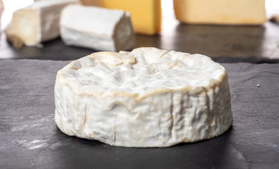 Fototapeta na wymiar Camembert cheese traditional Normandy French, dairy product