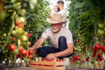 Grandfather,son and grandson working in greenhouse