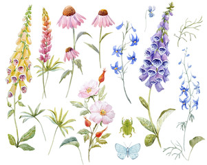 Watercolor floral set © zenina