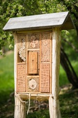 Insect hotel - wooden house made for bugs and solitary insect (bees, wasps,...)