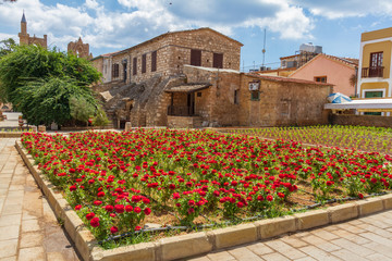 View of Flowers in a square in the walled old medieval city of Famagusta, Cyprus