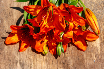Orange lilies on rustic wooden background