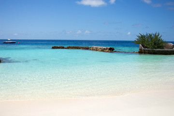 Fototapeta premium Seaview