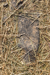 Hintergrund Stroh und Stein