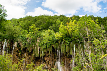 Several small waterfalls of water passing through the thick vegetation of the national park. Photograph taken in the Plitvice natural park in Croatia.