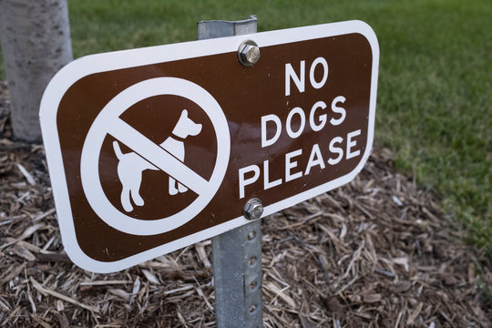 No Dogs Please Sign On The Grass Lawn