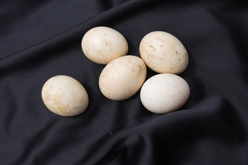 Uova fresche appena raccolte