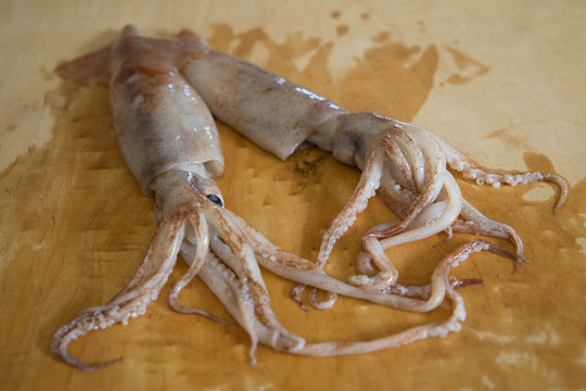 Totani freschi interi