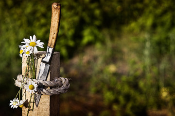 Knife in a wooden beam with a bouquet of daisies on a background of nature