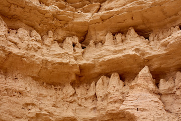 Detail of Rock Formations in Castle Rock Badlands
