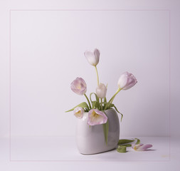white tulips in vase