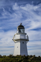 Fototapeta na wymiar Travel New Zealand. Scenic view of white lighthouse on coast, ocean, outdoor background. Popular tourist attraction, Waipapa Point Lighthouse located at Southland, South Island. Travel concept.