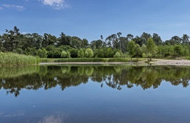Fototapeta na wymiar Reflection at the lake
