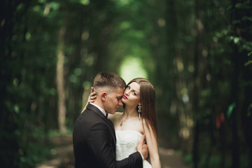 Happy wedding couple charming groom and perfect bride posing in park