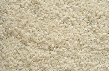 Arroz blanco redondo, composición como fondo