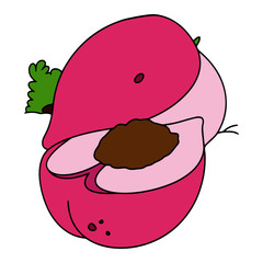 Peach cartoon illustration isolated on white background for children color book