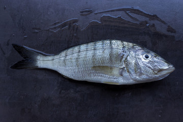 Fresh fish on a black stone table. Concept- signs of fish freshness, healthy food, fresh seafood.