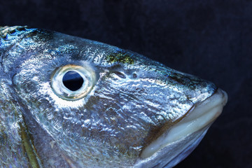 Fresh fish on a black stone table. Concept- signs of fish freshness, healthy food, fresh seafood.
