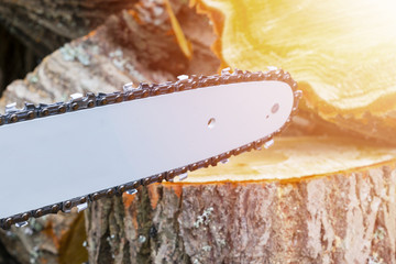 Chainsaw. Chainsaw in move cutting wood. Man cutting wood with saw. Dust and movements. Close-up of...