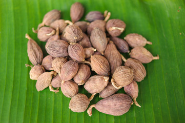 herp spicy cooking for mala barbeque