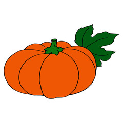 Pumpkin cartoon illustration isolated on white background for children color book