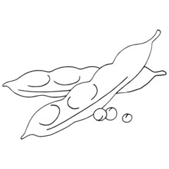 Obraz premium Peas cartoon illustration isolated on white background for children color book