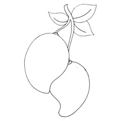 Mango cartoon illustration isolated on white background for children color book