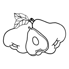 Rose Apple cartoon illustration isolated on white background for children color book