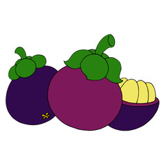 Mangosteen cartoon illustration isolated on white background for children color book