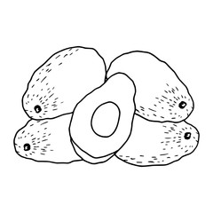Avocado cartoon illustration isolated on white background for children color book
