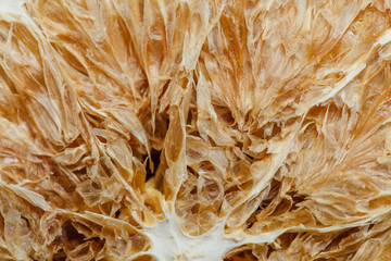 Texture of dried citrus.Macro
