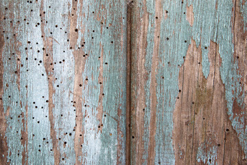 madera vieja y con pintura desconchada con agujeros de carcoma
