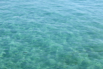 agua de mar transparente en la orilla