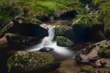 Mała kaskada. rzeka Kamienna, Karkonosze, Polska © Rafał Bachanek