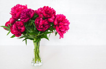 5313769 Red peonies in vase on white background