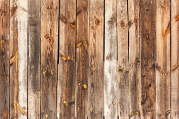 Background of old brown boards
