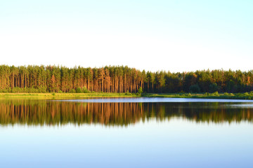 The forest is reflected in the lake.