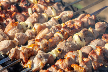 grilled meat. barbecue