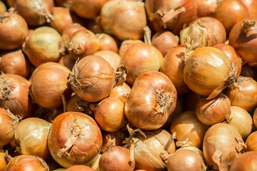 Onions at grocery 