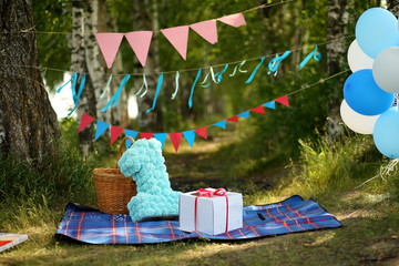 decoration for first birthday smash the cake outdoor