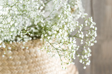 Soft home decor, small vases with baby's breath bouquet. Interior.