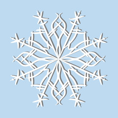 Vector blue Snowflakes