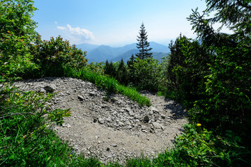 Obraz premium The path in Vratna valley in the Mala Fatra park