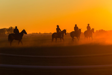 Fototapeta na wymiar Race Horse Rider Training Track Landscape Morning 