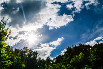 sun in the countryside near the forest 